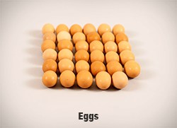 XXXX-Eggs-v2-cropped-full-res copy